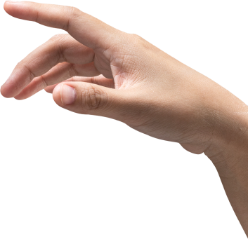 Hand Human